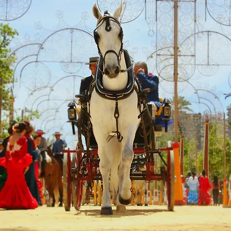 Centrico Appartement *